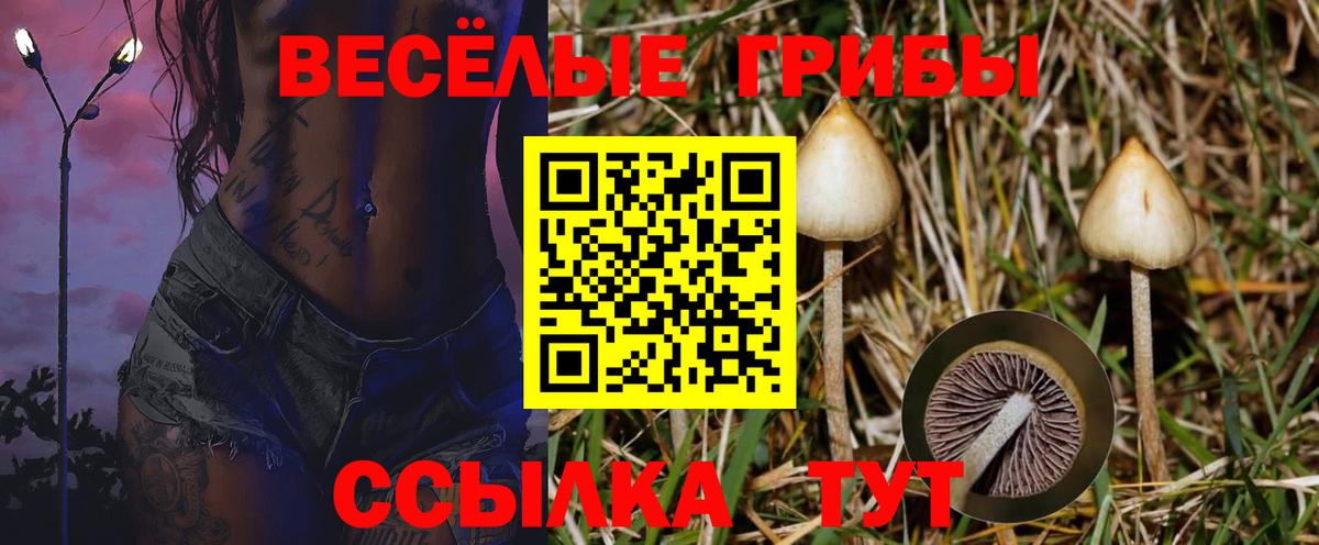 Псилоцибиновые грибы ЛСД  Вход с VPN  Галлюциногенные грибы GOLDEN TEACHER  Моздок 